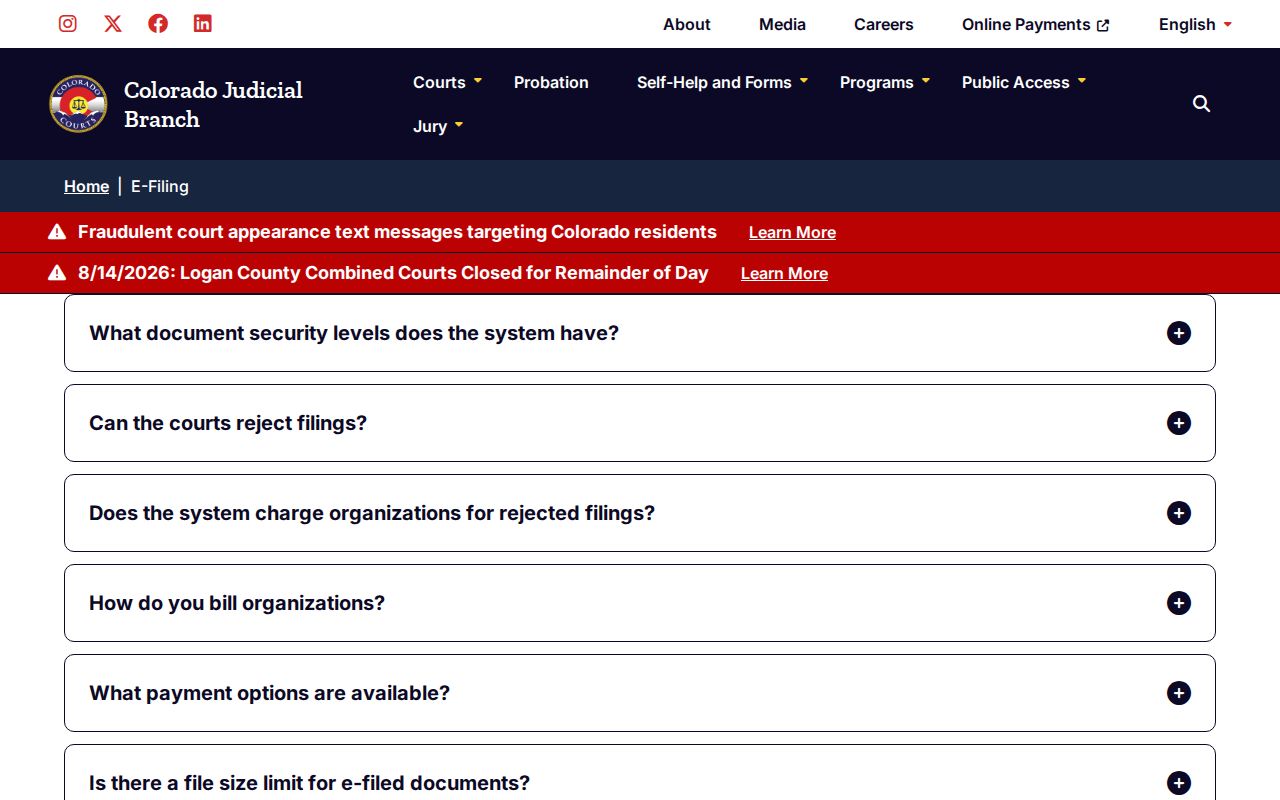 Pitkin County civil docket CCE security and filing information